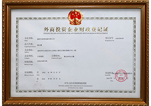 FINANCIAL REGISTRATION FOR ENTERPRISES WITH FOREIGN INVESTMENT